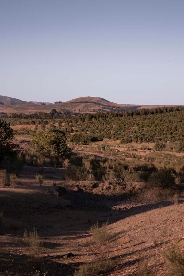Posada La Serena Minas Zewnętrze zdjęcie